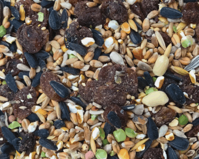 Love Your Pet Wild Bird Food with Mixed Fruits. Wild Berries Attract Birds 15Kg