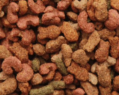 Love Your Pet Complete Dry Adult Cat Food Mix with Fish, Chicken & Vegetable Nutritious Value